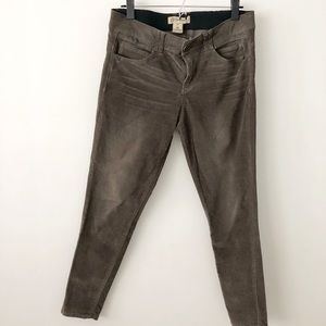 Democracy AB Technology Corduroy Pants Olive